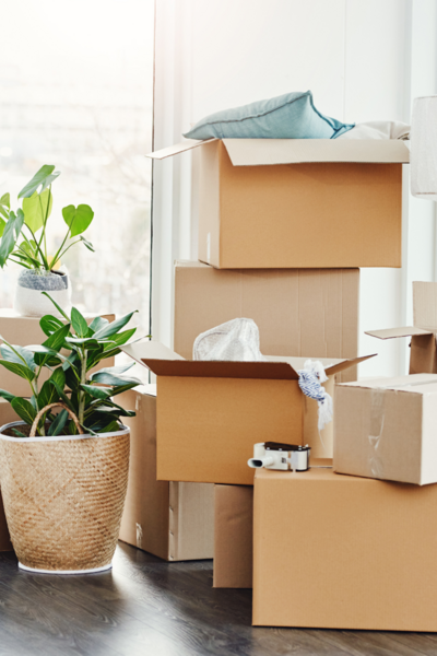 moving boxes stacked up