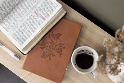 reading the Bible