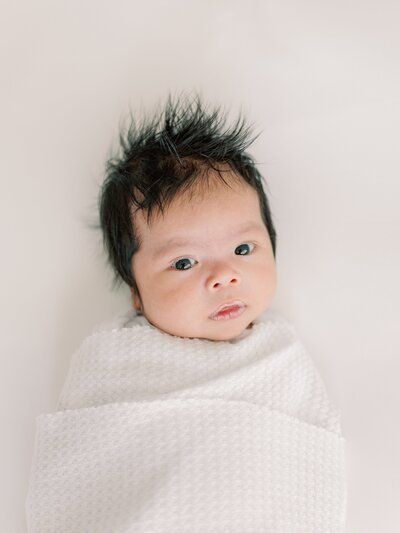northern-virginia-newborn-photographer-studio-photo