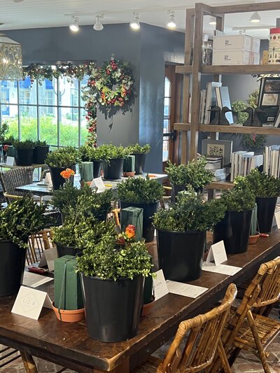 table with potted plants ready to be decorated