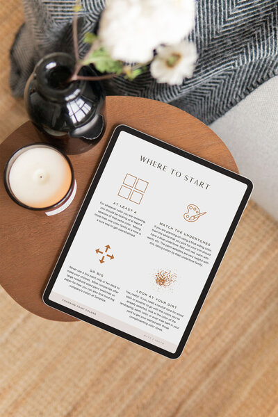 white brush on russet stucco wall