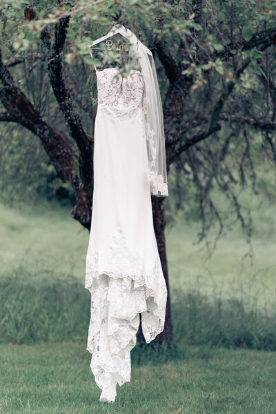 Striking photograph showcasing a wedding dress elegantly hanging from a tree, set against the natural backdrop of Half Moon Bay, capturing a moment of serene beauty.