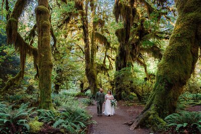 Hoh Rainforest Elopement in the Hall of Mosses