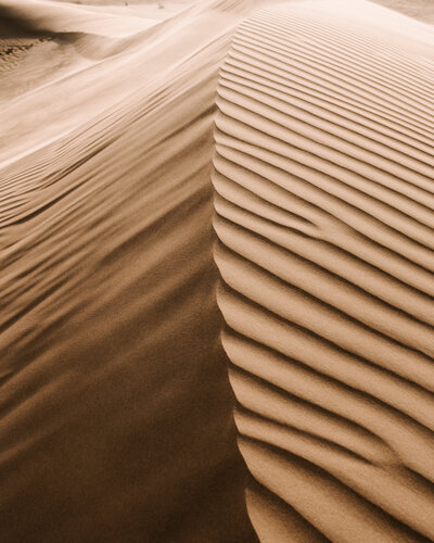 CALM DUNES