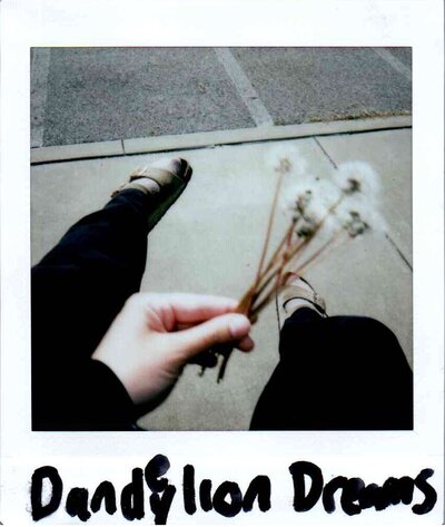 four sisters dancing on the beach