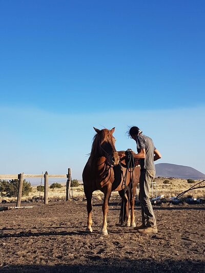 Indien Navajo travaillant avec un cheval