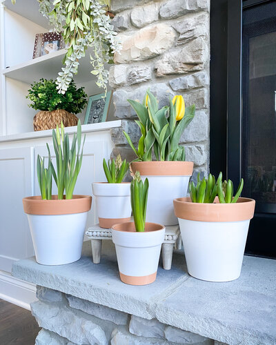 tulips in flower pots on a fireplace