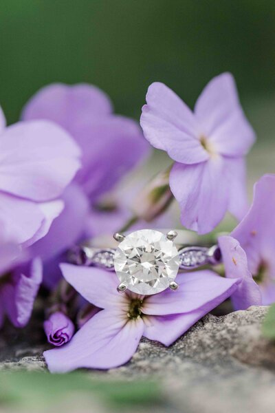 Engagement ring, ring shot, purple flowers with white gold diamond ring at Delafield Fish Hatchery Building, Delafield Wisconsin.  Wisconsin Photographer.
