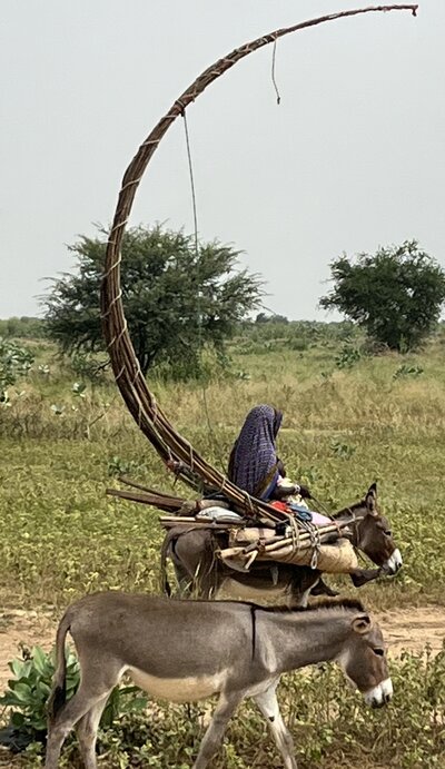 chad 8