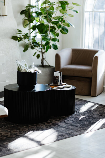 modern chair and coffee table in entryway