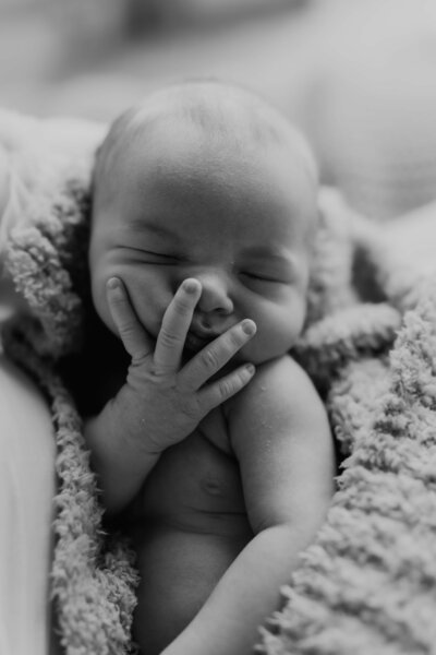 infant boy falls asleep with his hand on his face during a newborn photograph session
