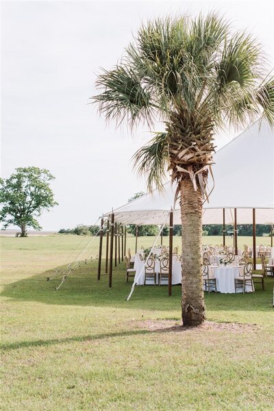Beaufort South Carolina Wedding  | Agapae Oaks Wedding  | Trish Beck Events | HIlton Head Wedding Planner | Southeast Wedding Planner |  Meredith Ryncarz Photography |  Sailcloth Wedding Reception Tent