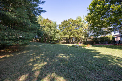 6 Andrew yard (5)