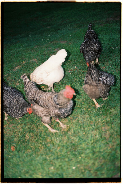 93683MPeve081413-R7-241-2