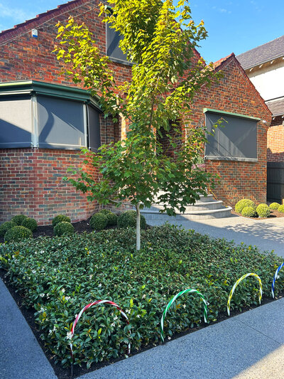 Landscaping_Melbourne_10