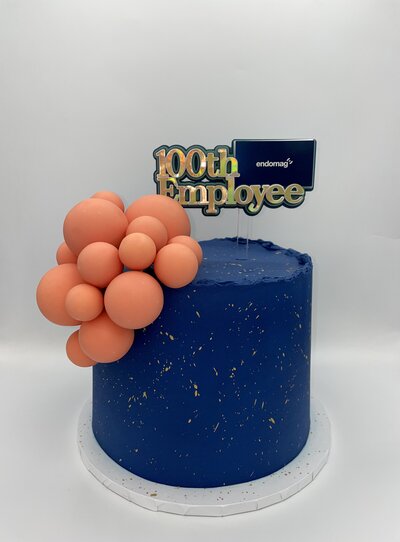 coporate cakes cake designer cambridgeshire elifs patisserie