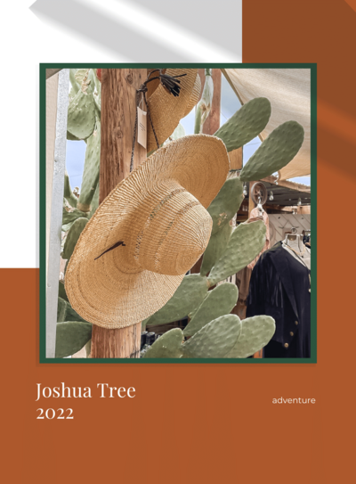 Joshua Tree 2022 (350 × 475 px) (900 × 1221 px)