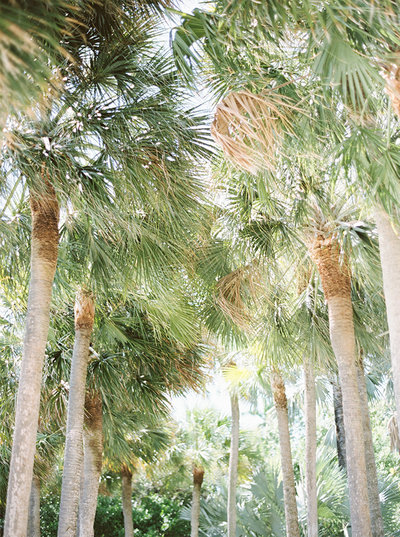 2018 Mid-Atlantic Investment Guide (13)