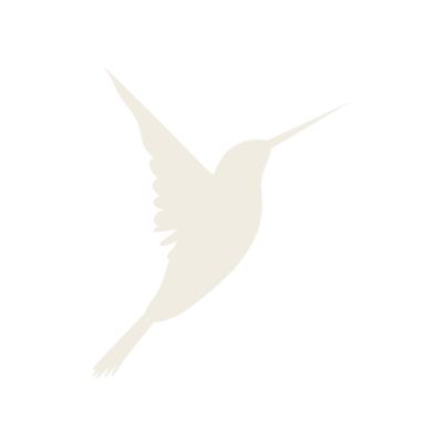 Kristen Vann Creative Co. branding logo – first impressions count in Williamsburg Virginia