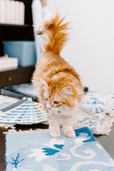 Rebrand Shoot_DSC09250