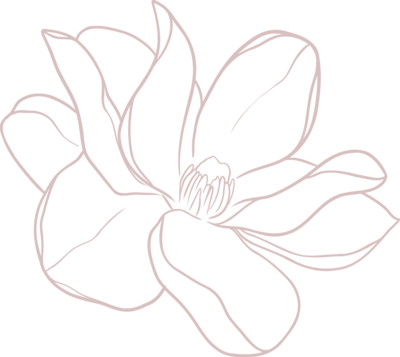 Blush magnolia graphic