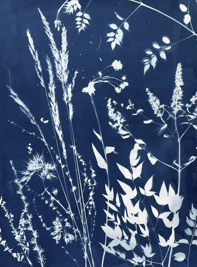 The Cyanotype Creation Kit - Atwater Designs, Cyanotype Kit