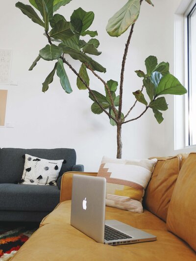Virtual therapy on couch