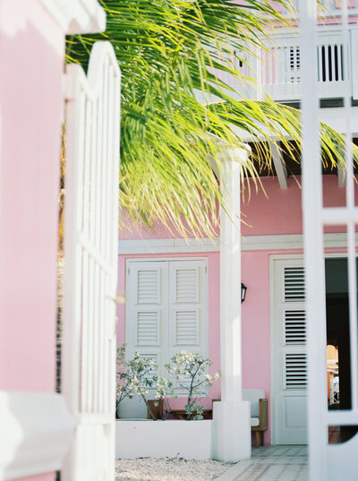 Film image of a pink building on the island of Curacao with accenting palm tree