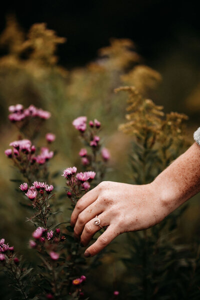 womans hand touching purple flowers in field
