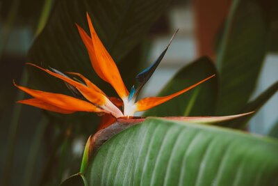 pexels-jess-vide-9269175