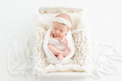 St. Louis Newborn Photographer