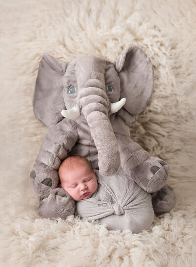 Creative Newborn Elephant  photo by Houston photographer
