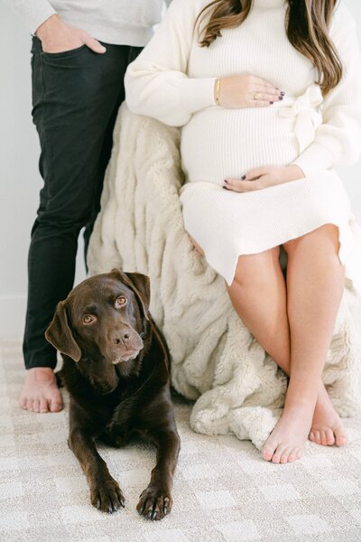 mama to be holding her pregnant belly with her chocolate lab laying on the floor by her side