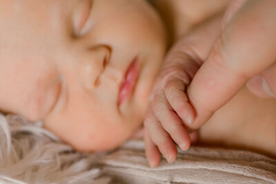 glen arbor newborn photographer