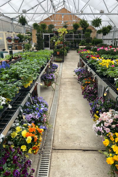 best garden plants for pennsylvania 