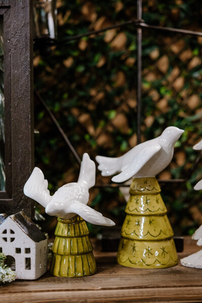 PetesGreenhouseAmarillo-088