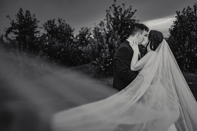 Lyman Orchards Wedding Photographer and Videographer