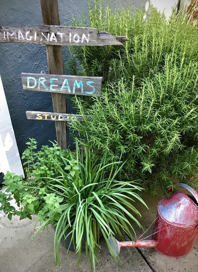 Herbs with studio sign
