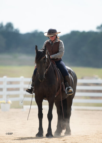 Women Riding Fresian Horse standing still in arena