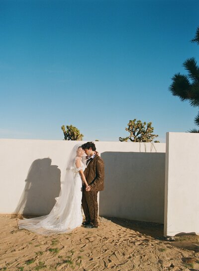 film-photos-joshua-tree