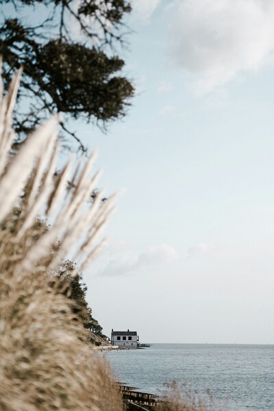 annie-spratt-D9YCQcKNRkc-unsplash