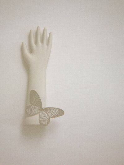 hazy film photo, conceptual photography, hand with butterfly, transformation, florist brand photography in Detroit, Michigan