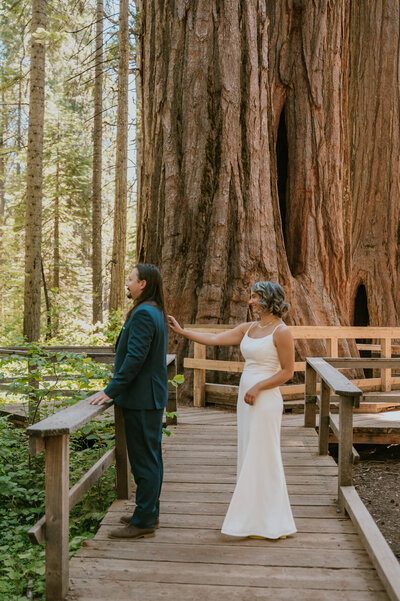 Destination Elopement packages-13