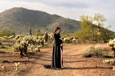 Stunning maternity portrait of a mother looking down on baby bump. Photographed in Phoenix by Cactus & Pine Photography 