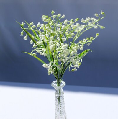 White Lily of the Valley DELUXE BUSH