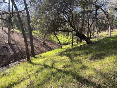 Hills with green grass