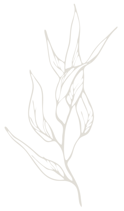 writing and editing services