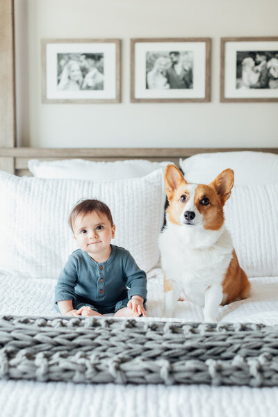 In-home milestone lifestyle session. Baby and pup.