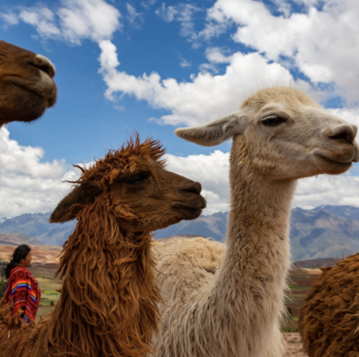 trip-to-peru-itinerary-15-tambo-del-inka-5