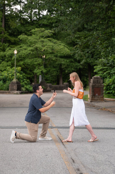 Piedmont Park Proposal-3